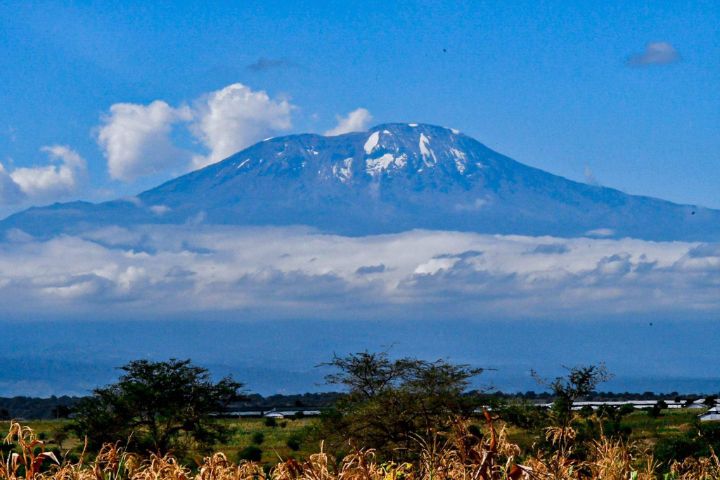 Mount Kilimanjaro Raymond Bradford Photograhy Paintings Prints