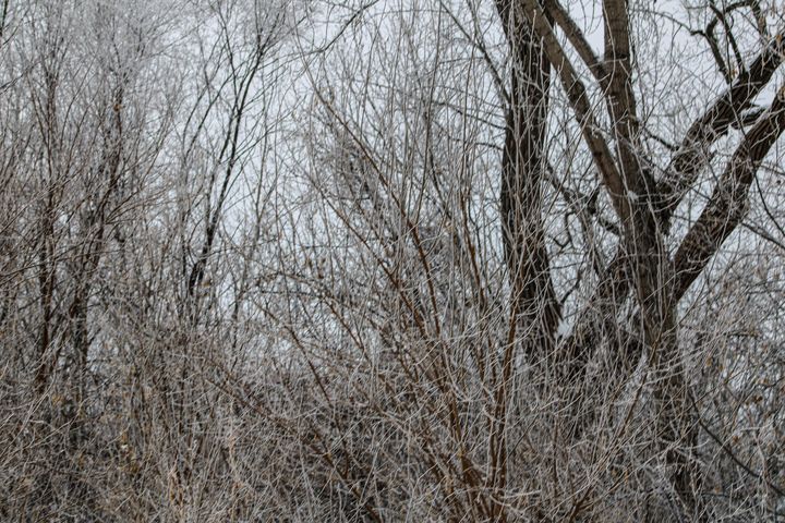 Rime Frost Winter Morning Vickielynne Photography Landscapes