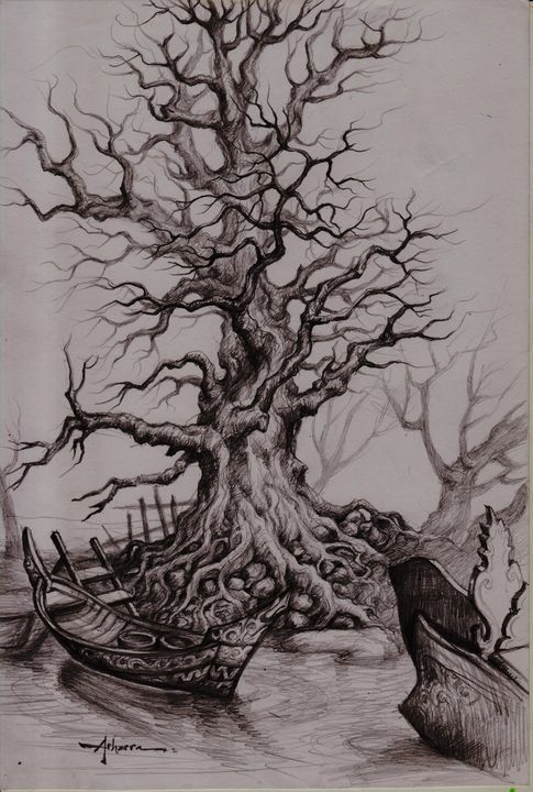 Drawings Of Trees In Pencil   2 19 11 29 21 44 25m 