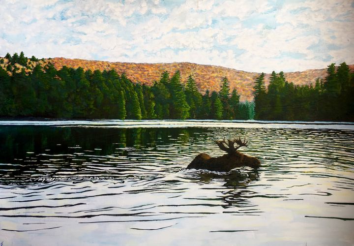Moose Swimming in Lake Algonquin - StewArt Tornberg
