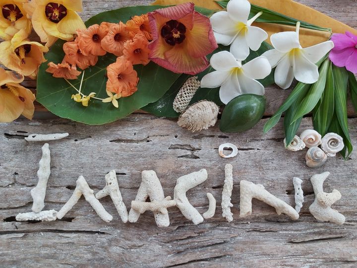 Imagine - Sharona's Art