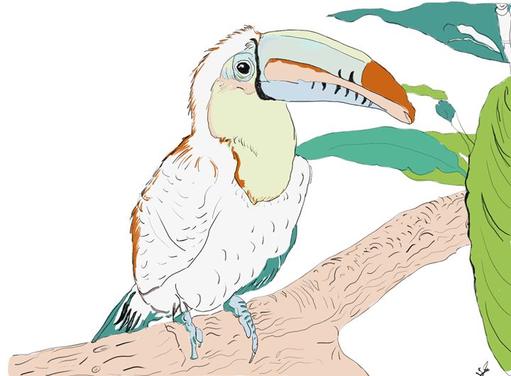 toucen parrot - artline