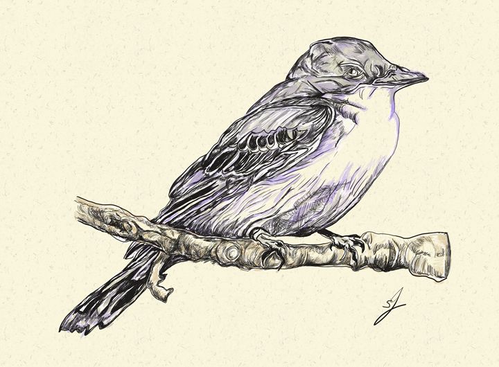 drawing of a bird - artline