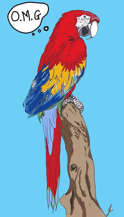 OMG parrot - artline