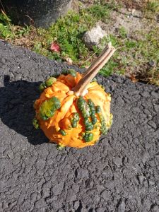 Pumpkin - Landscape & Abstract Pencil Art