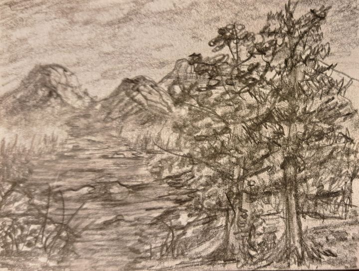 Stream in the woods - Landscape & Abstract Pencil Art