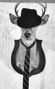 Dressed up Buck