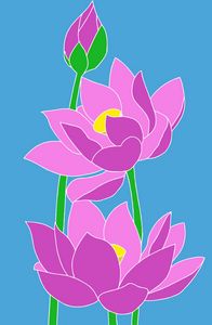 Lotus illustration for printing