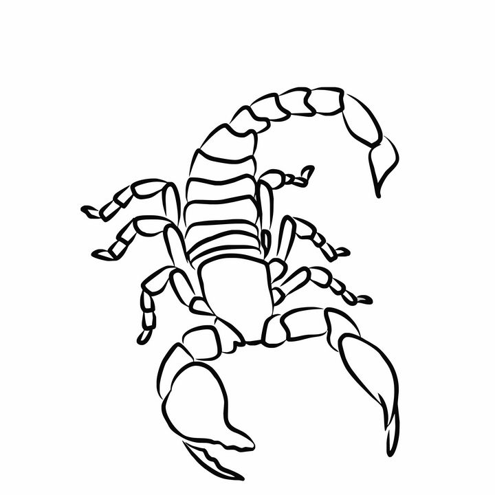 Scorpion Hand Drawing in Line Style Graphic by kareemov1000  Creative  Fabrica