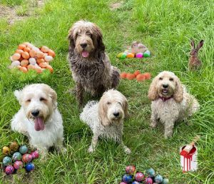 Rachel's dogs help the Easter bunny - Heijdi's fantastic painted World