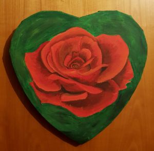 Red rose in the heart