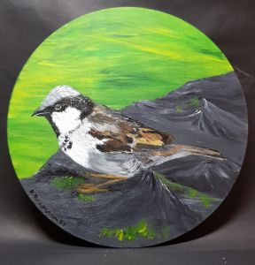 Sparrow - Heijdi's fantastic painted World