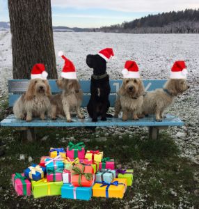 Rachel's dogs help Santa - Heijdi's fantastic painted World
