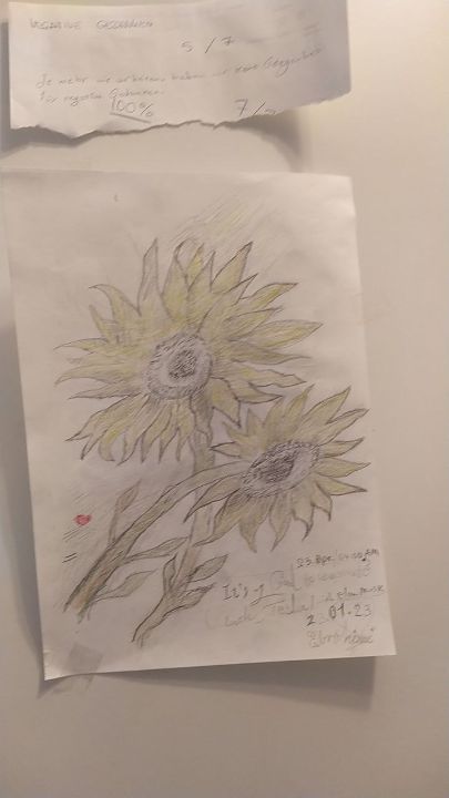 Sunflower - Pencil Sketch Of Sunflower Transparent PNG - 604x563 - Free  Download on NicePNG