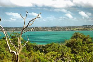 View of auckland across Hauraki gulf