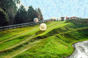 Zorbing Downhill-New Zeala