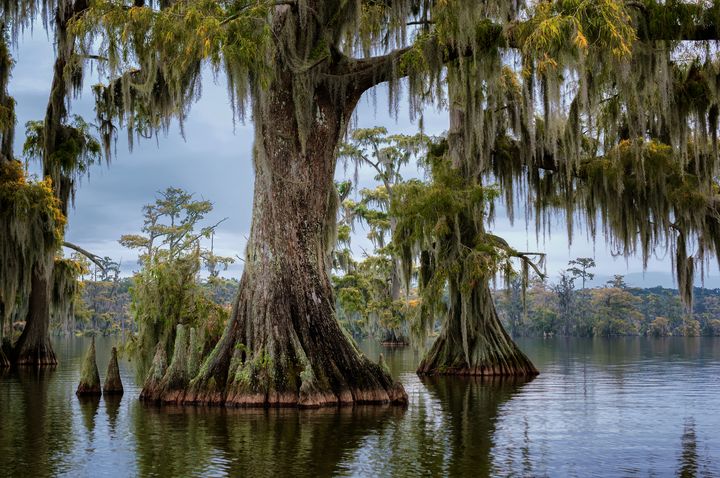 Fall Colors Coming In - Black Bayou Photography - Photography ...