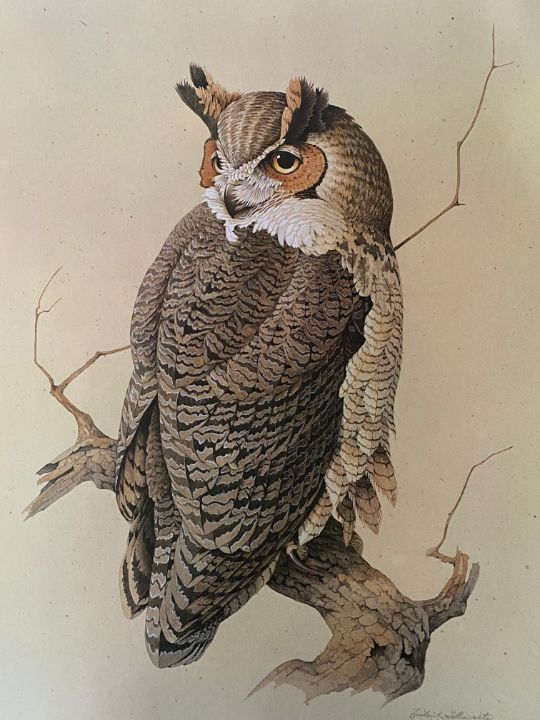 Great Horned Owl - Frederick Wetzel estate - Paintings & Prints