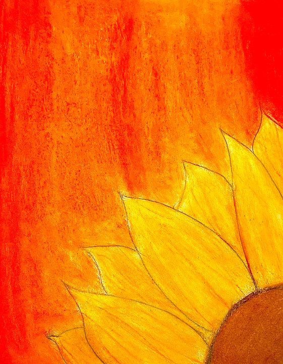 Sunflower - Noelle
