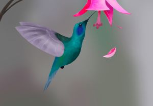 Hummingbird Quote - Cyrus's art - Digital Art, Animals, Birds