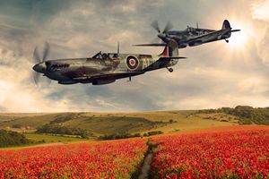 Spitfire over poppy field