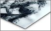 Metal Print