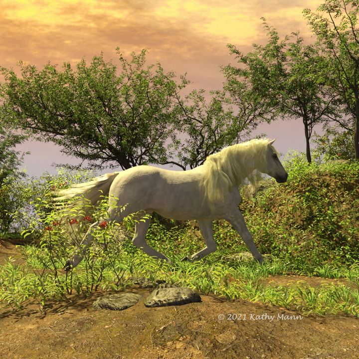 Whit horse at sunset - Media Free Spirit