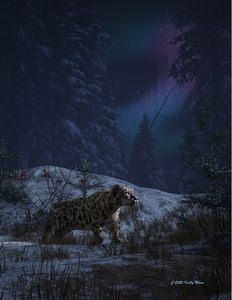 Snow leopard and northern lights