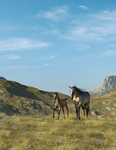 Mare and Foal