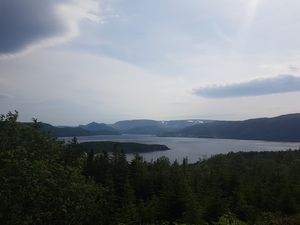 Newfoundland Nature