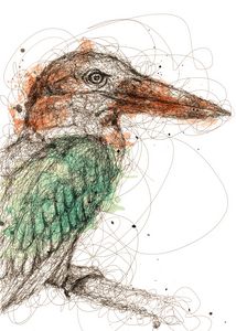 Color pencil art - Hems - Drawings & Illustration, Animals, Birds, & Fish,  Birds, Kingfisher - ArtPal