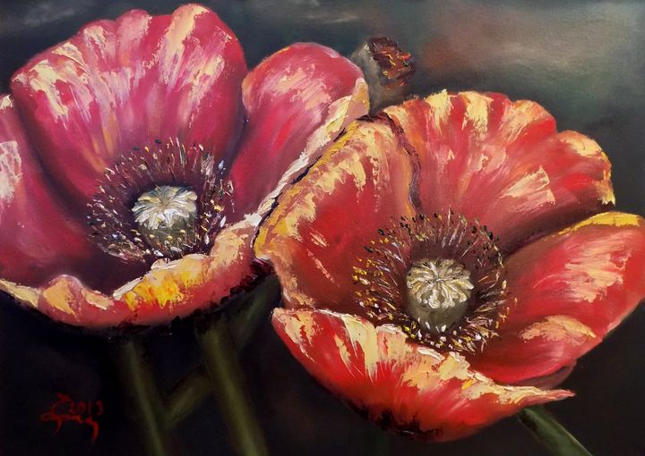 Poppy Duo Nick Ercsei Paintings And Prints Flowers Plants And Trees