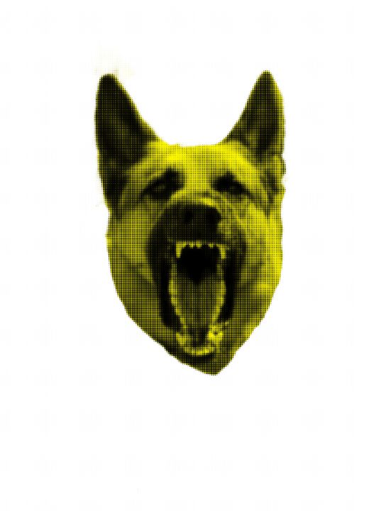 Wolf | Pop-art | Yellow - Cicero Spin