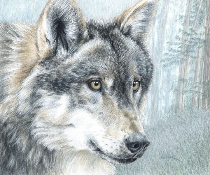 Intent Eyes - Carla Kurt Art - Paintings & Prints, Animals, Birds ...