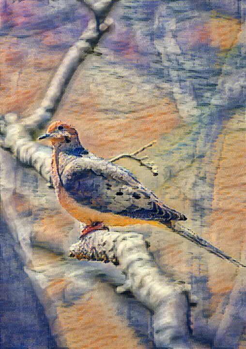 Mourning dove - THE CREATION OF GOD