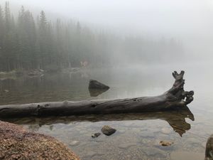 Log in Lake - Rocky Mountains