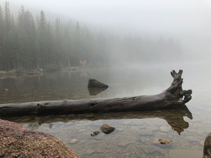 Log in Lake - Rocky Mountains - Megan and Austin's Art