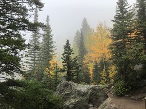 Fall Leaves in Rocky Mountains