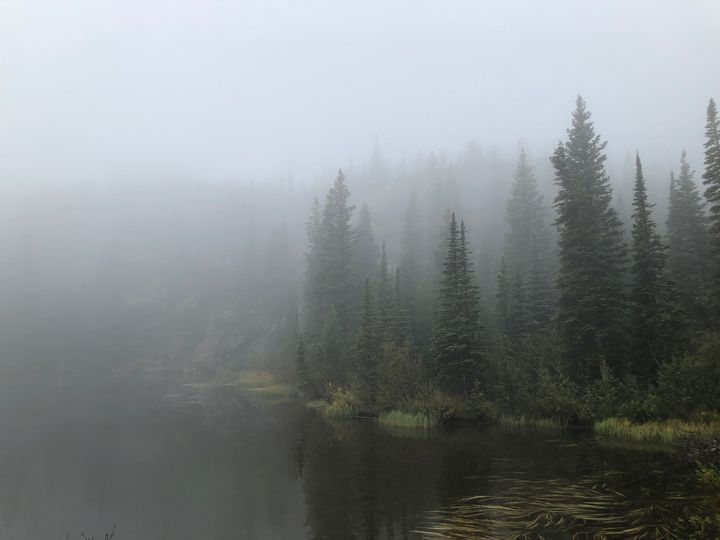 Lake and Forest on a Foggy Morning - Megan and Austin's Art