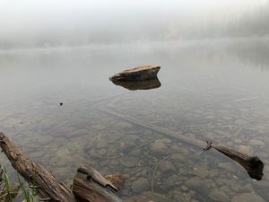 Foggy Rocky Mountain Lake Morning