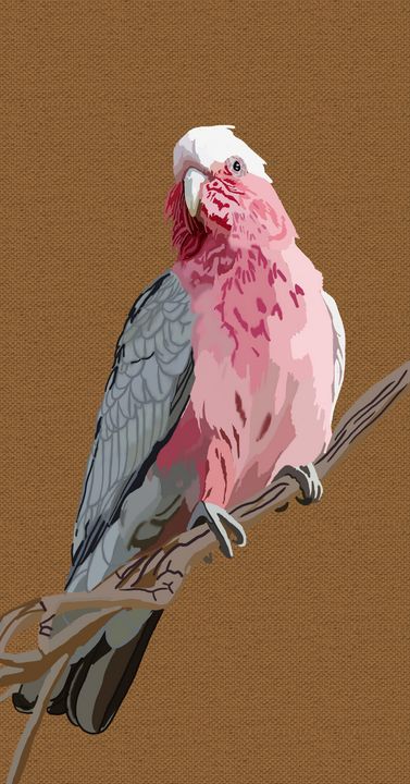 Pink bird - Blackcatsimba Arts.