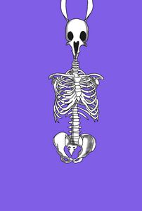 Bones