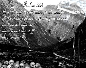 Psalms 23:4