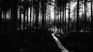 Path