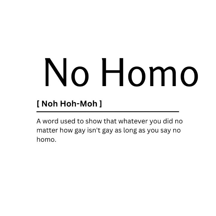 No Homo Dictionary Definition Kaigozen Digital Art Humor And Satire