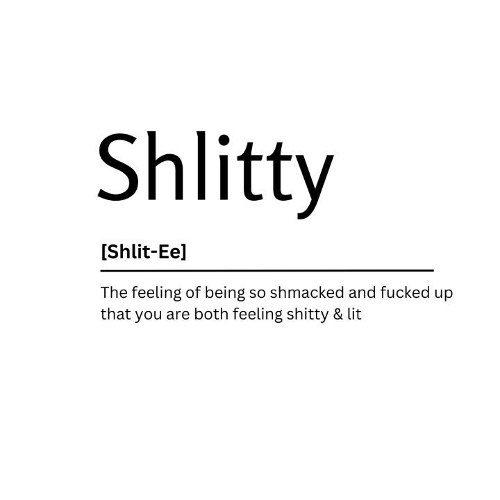 Shlitty Dictionary Definition - Kaigozen - Digital Art, Humor