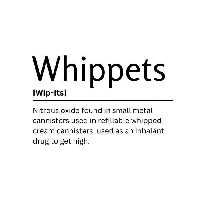 Whippets Dictionary Definition Kaigozen Digital Art & AI, Humor