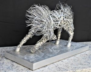 SILVER STORM