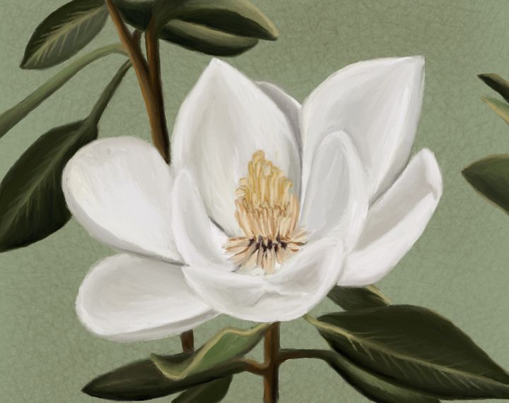 Magnolia - Inkling Art Creations