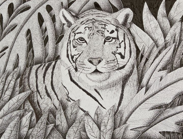Jungle Sketch - reposted by scratchmark on DeviantArt